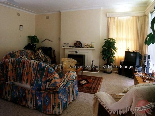 Скриншот из игры The Sydney Mystery - 5