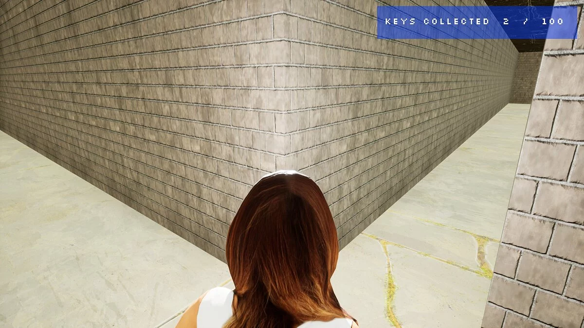 Скриншот из игры The Maze - 8