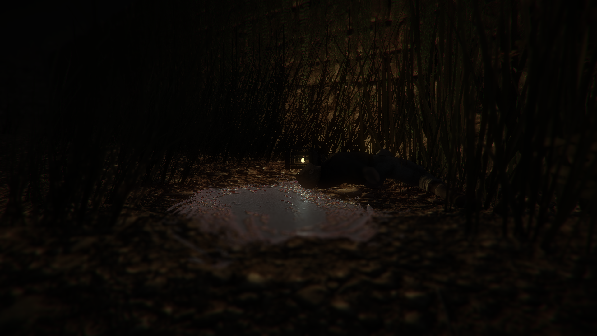 Скриншот из игры The Maze - 1