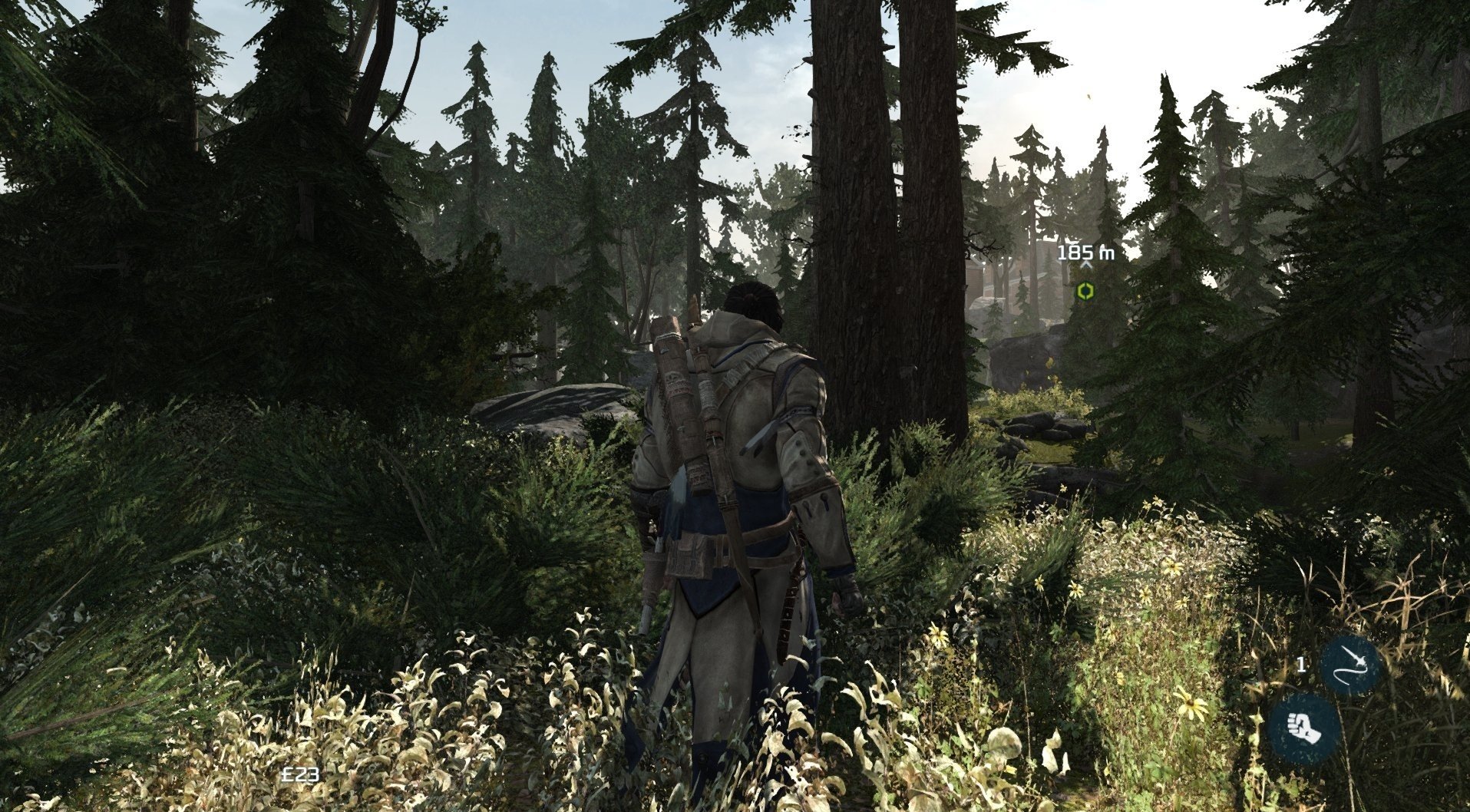 Скриншот из игры Assassin's Creed 3 - 4
