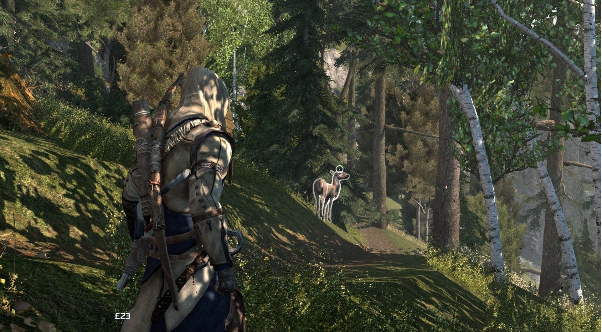 Скриншот из игры Assassin's Creed 3 - 168