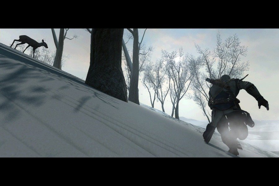 Скриншот из игры Assassin's Creed 3 - 150