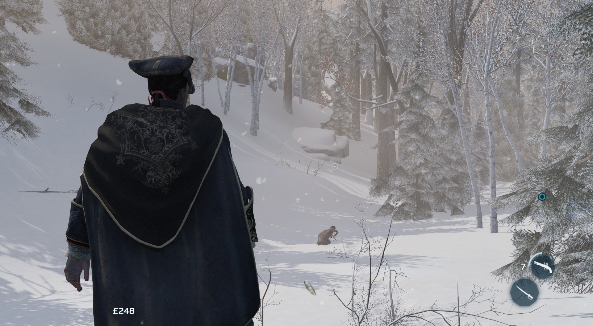 Скриншот из игры Assassin's Creed 3 - 121