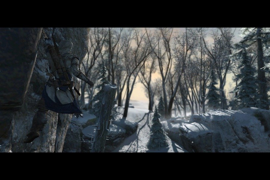 Скриншот из игры Assassin's Creed 3 - 110