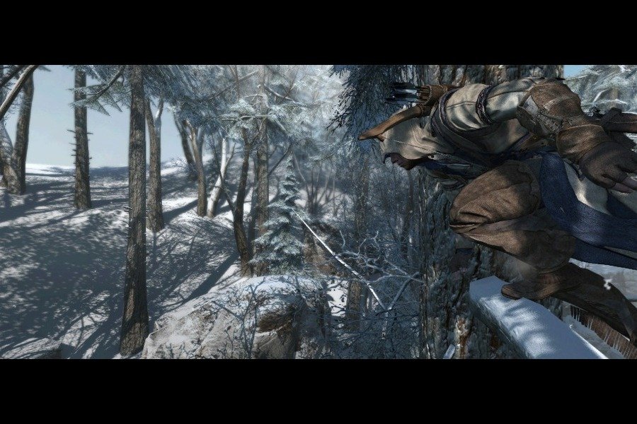 Скриншот из игры Assassin's Creed 3 - 151