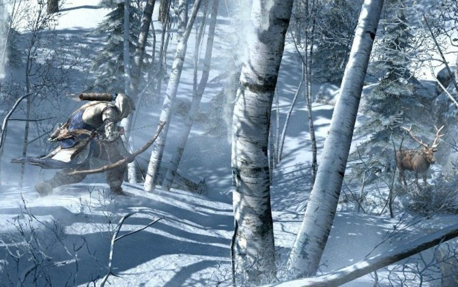 Скриншот из игры Assassin's Creed 3 - 161