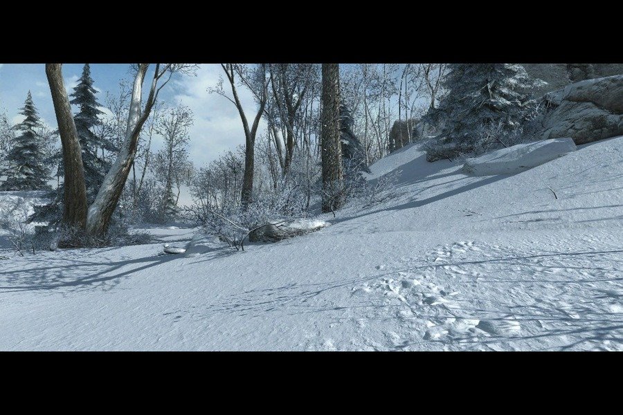 Скриншот из игры Assassin's Creed 3 - 132