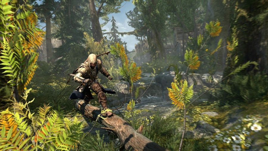 Скриншот из игры Assassin's Creed 3 - 14