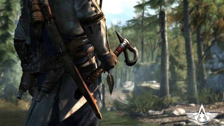 Скриншот из игры Assassin's Creed 3 - 59