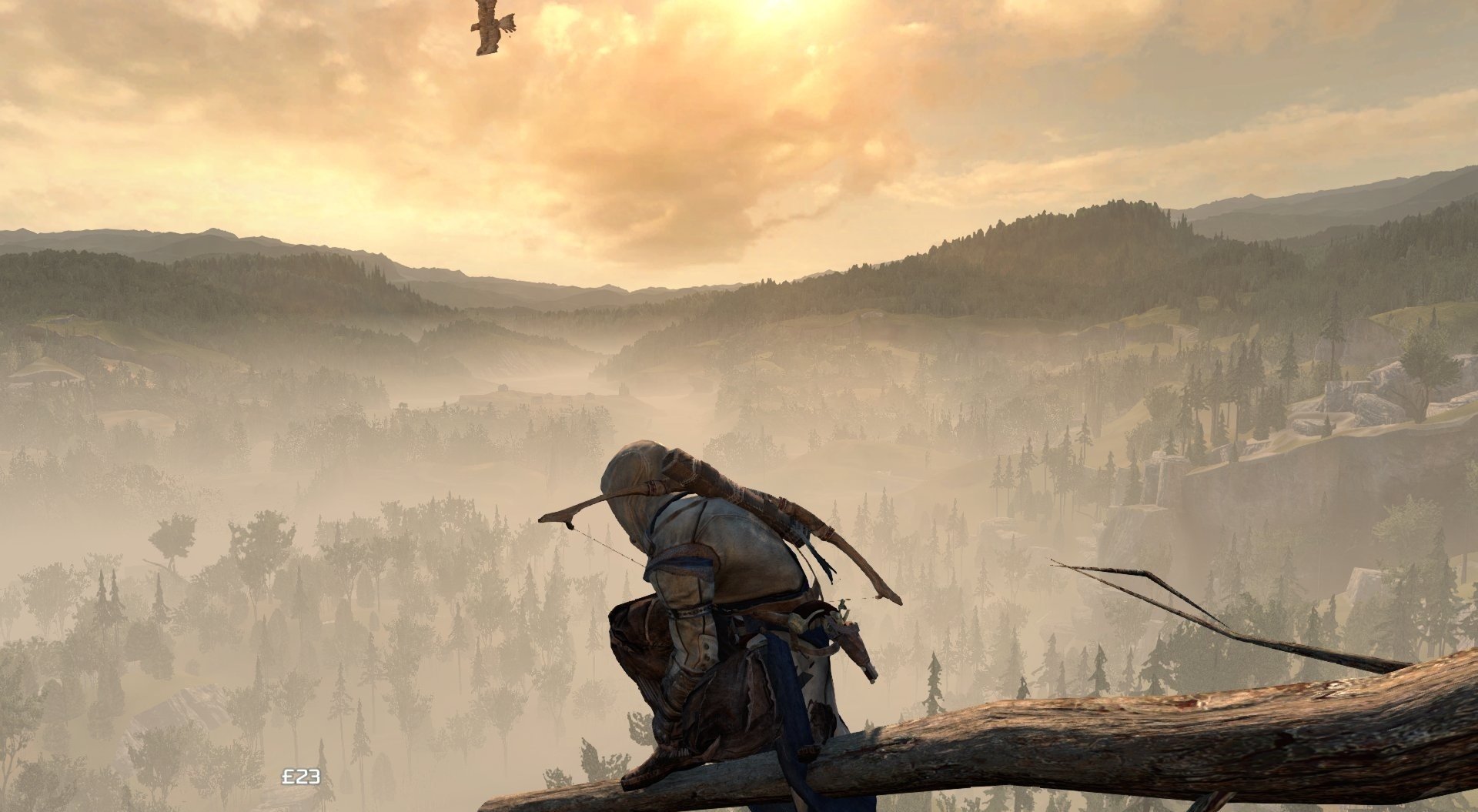 Скриншот из игры Assassin's Creed 3 - 5