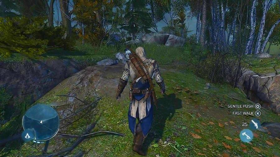 Скриншот из игры Assassin's Creed 3 - 188