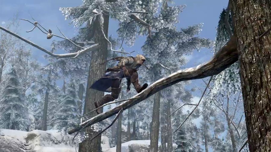 Скриншот из игры Assassin's Creed 3 - 186