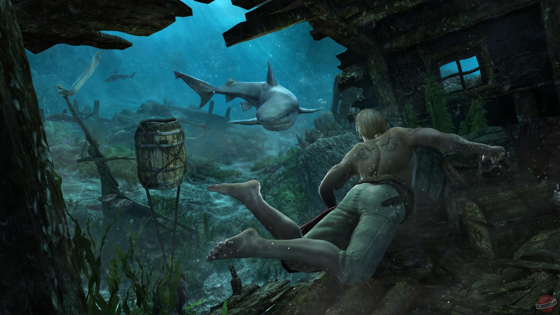 Скриншот из игры Assassin's Creed 4: Black Flag - 21