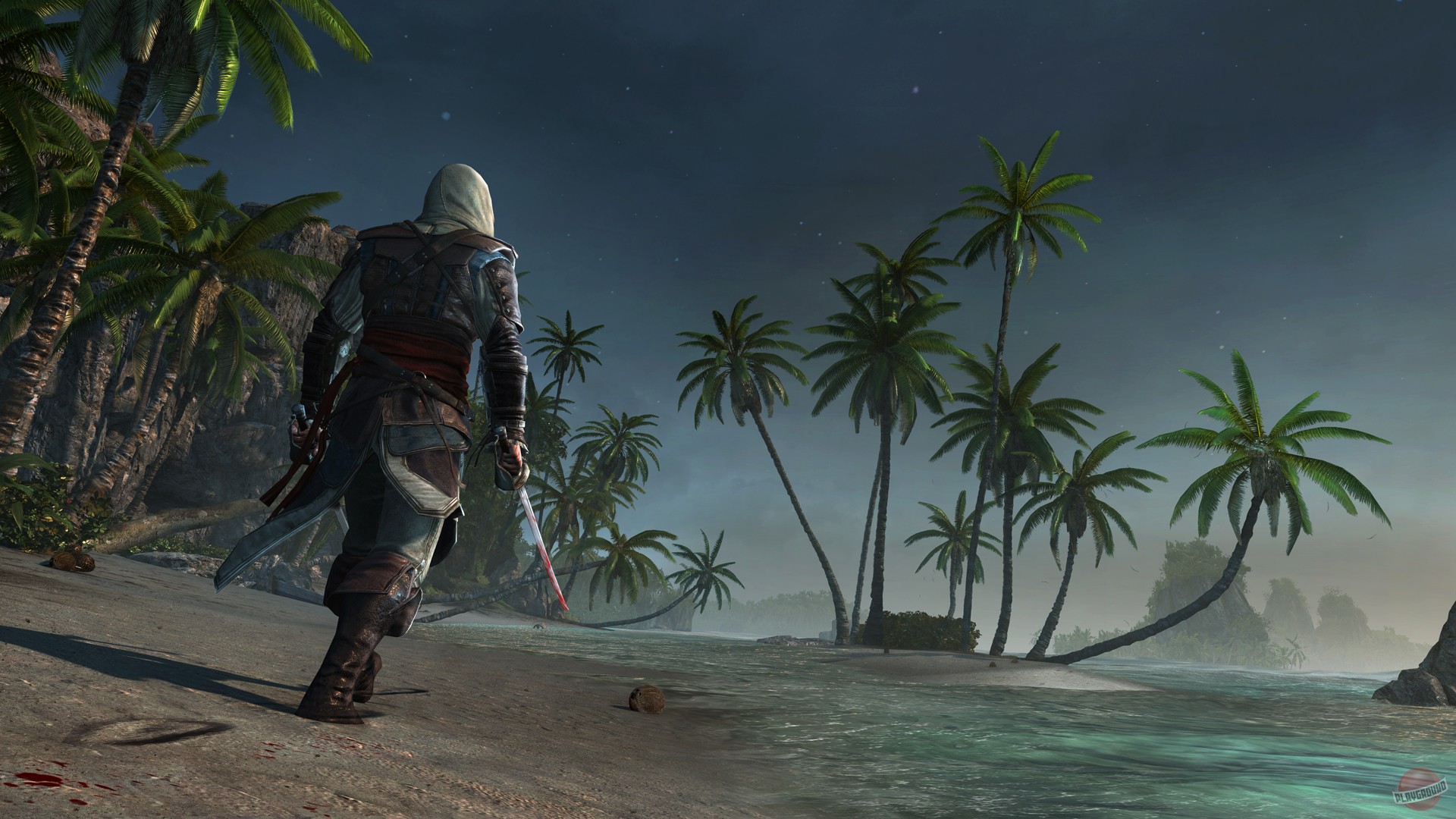 Скриншот из игры Assassin's Creed 4: Black Flag - 43