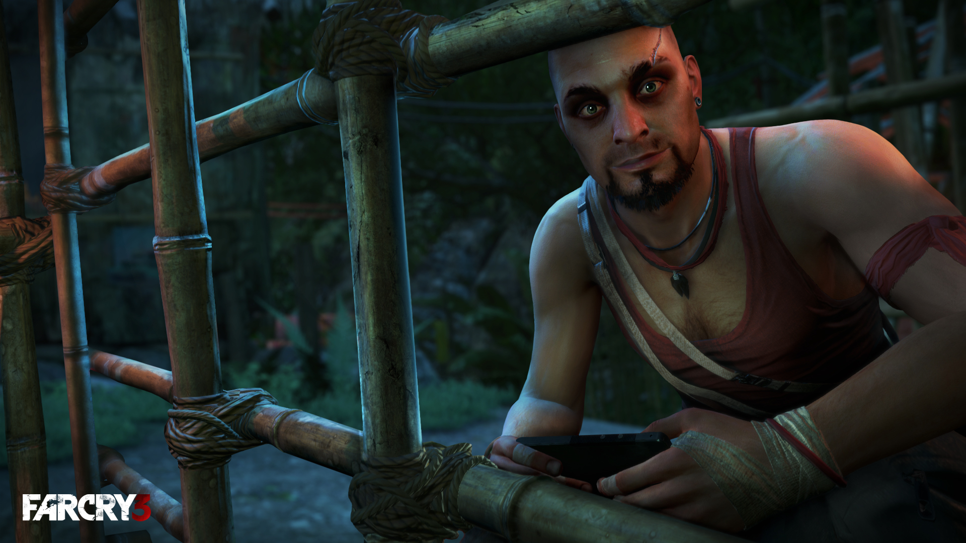 Скриншот из игры Far Cry 3 - 186