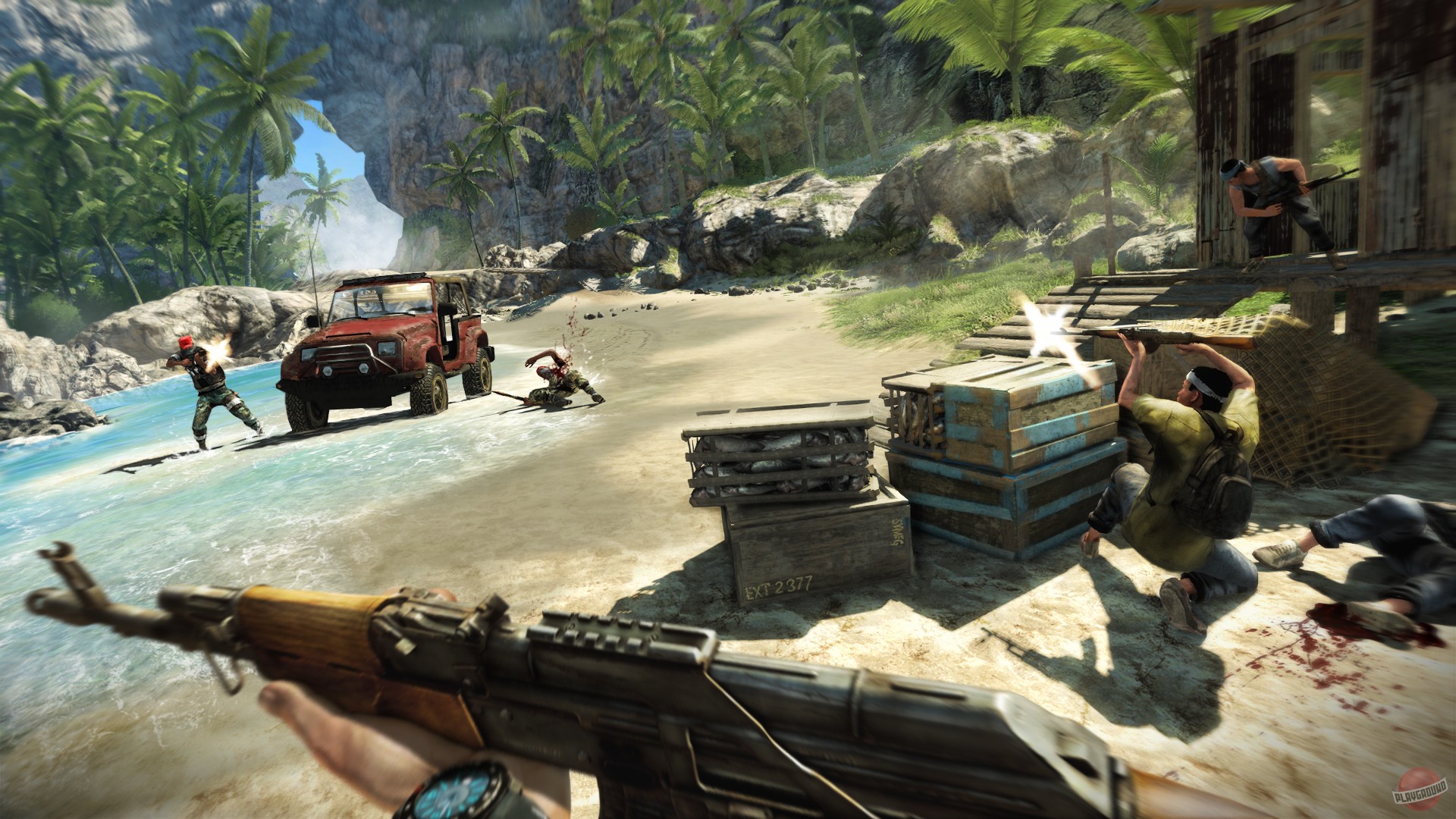 Скриншот из игры Far Cry 3 - 180