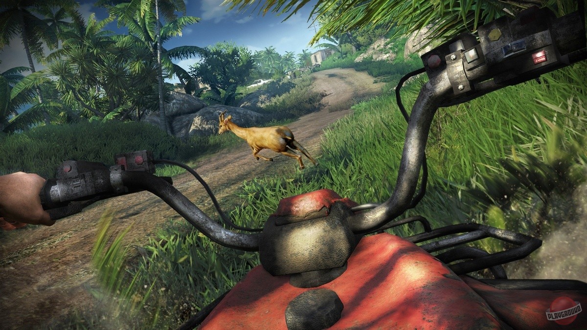 Скриншот из игры Far Cry 3 - 80