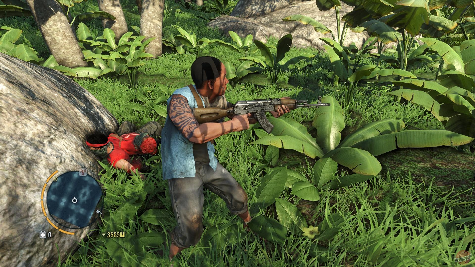 Скриншот из игры Far Cry 3 - 166