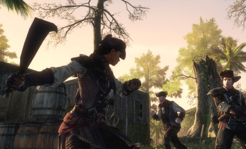 Скриншот из игры Assassin's Creed: Liberation HD - 4