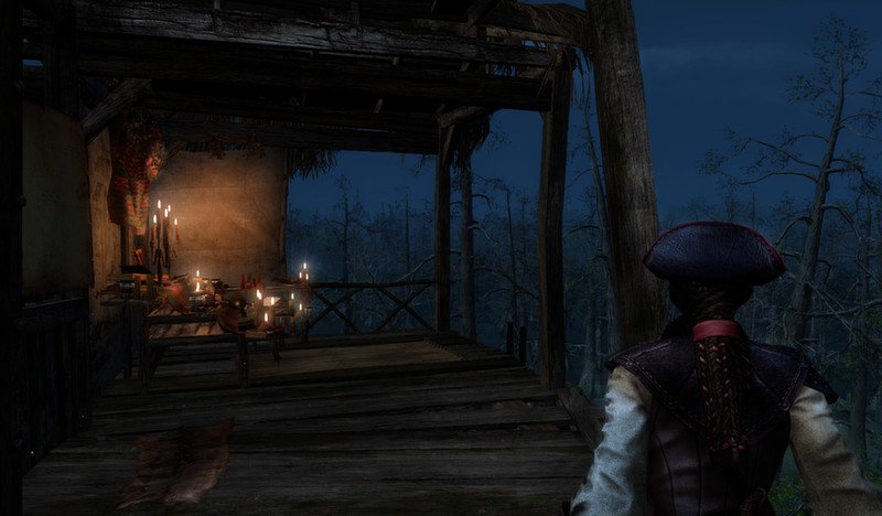 Скриншот из игры Assassin's Creed: Liberation HD - 12