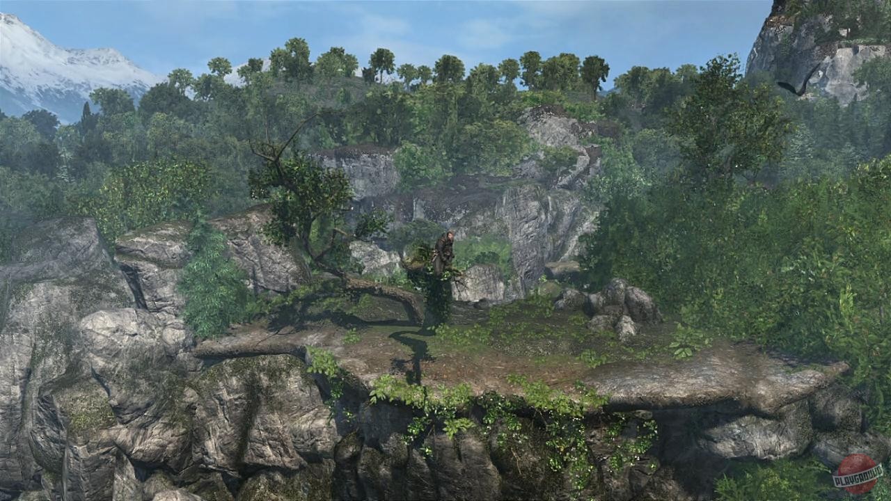 Скриншот из игры Assassin's Creed Rogue - 15