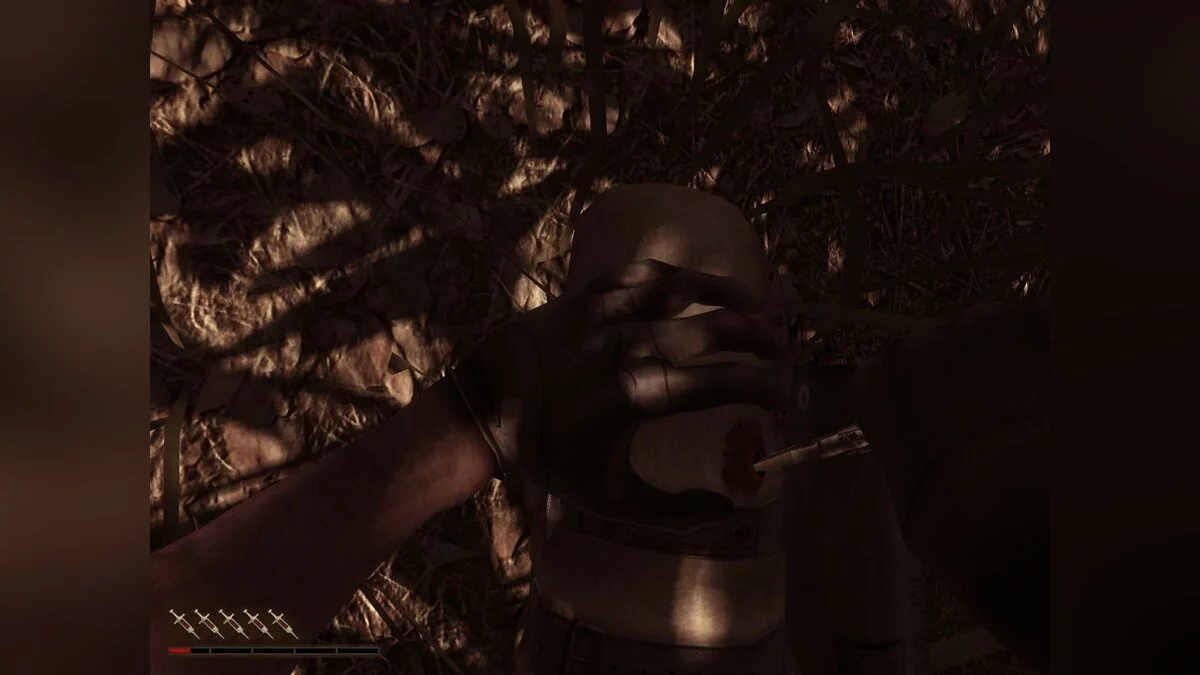 Скриншот из игры Far Cry 2 - 43