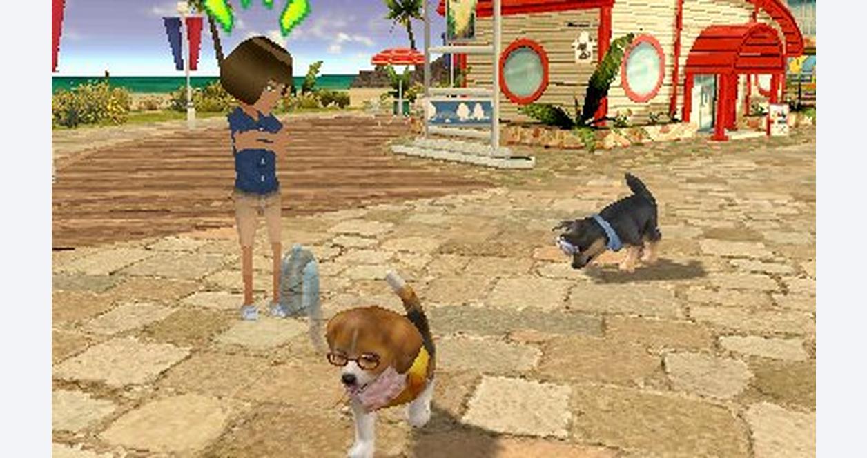 Скриншот из игры Petz Beach - 2