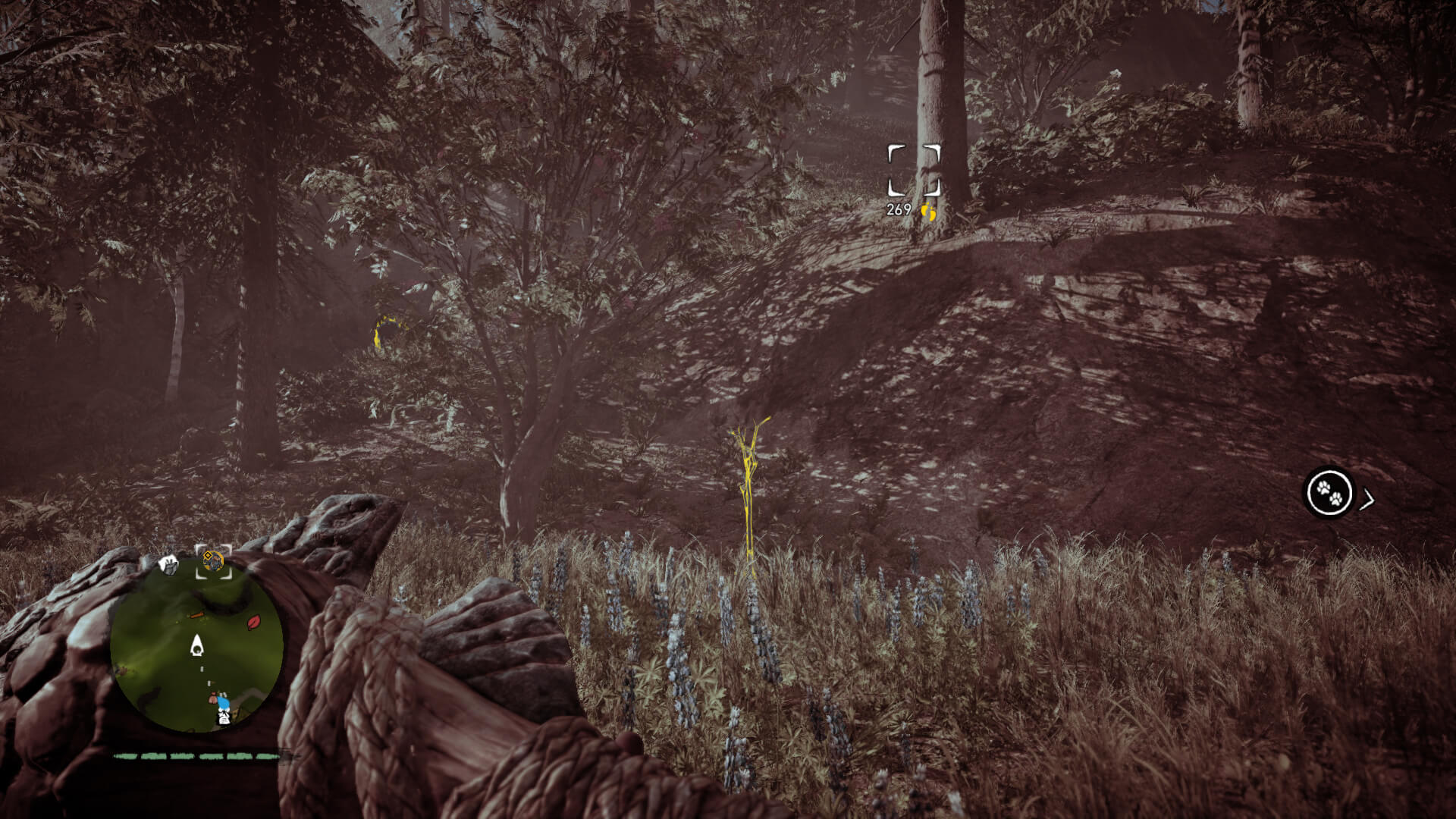 Скриншот из игры Far Cry Primal - 104