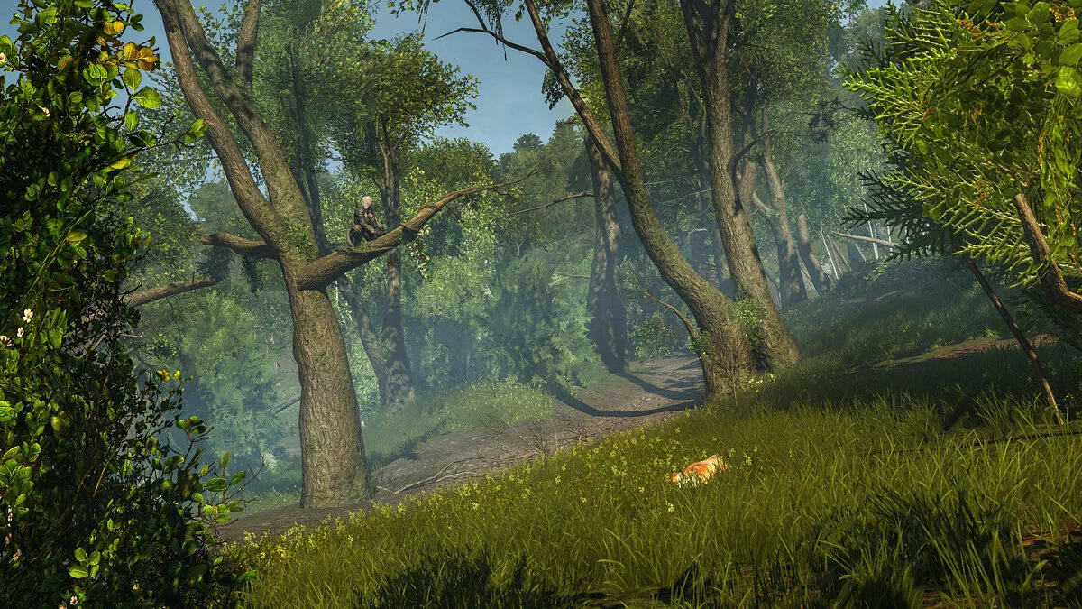 Скриншот из игры Assassin’s Creed Rogue Remastered - 24