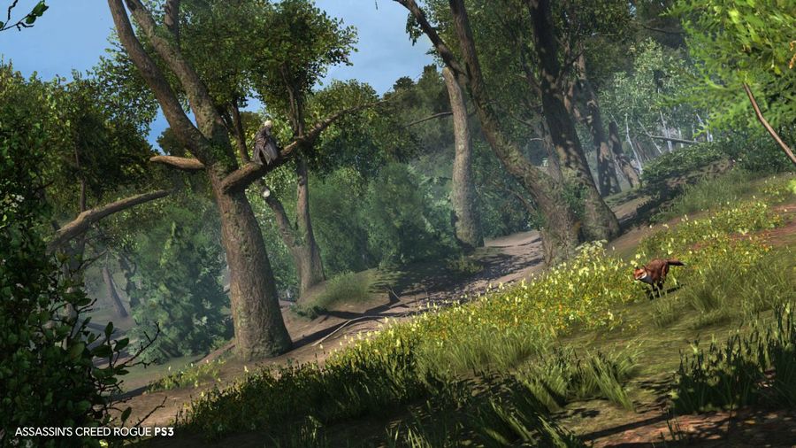 Скриншот из игры Assassin’s Creed Rogue Remastered - 3