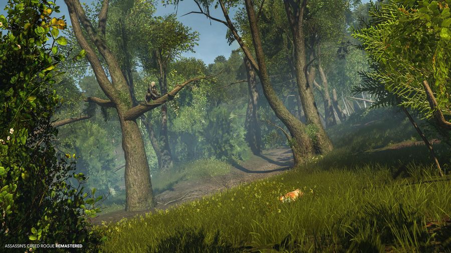 Скриншот из игры Assassin’s Creed Rogue Remastered - 4