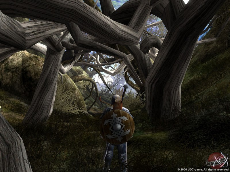 Скриншот из игры Сердце вечности - 3