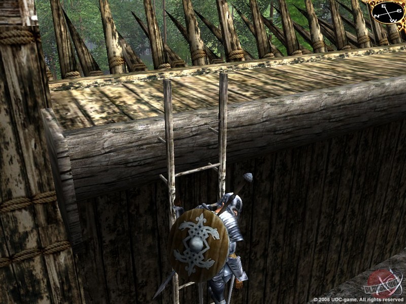 Скриншот из игры Сердце вечности - 2