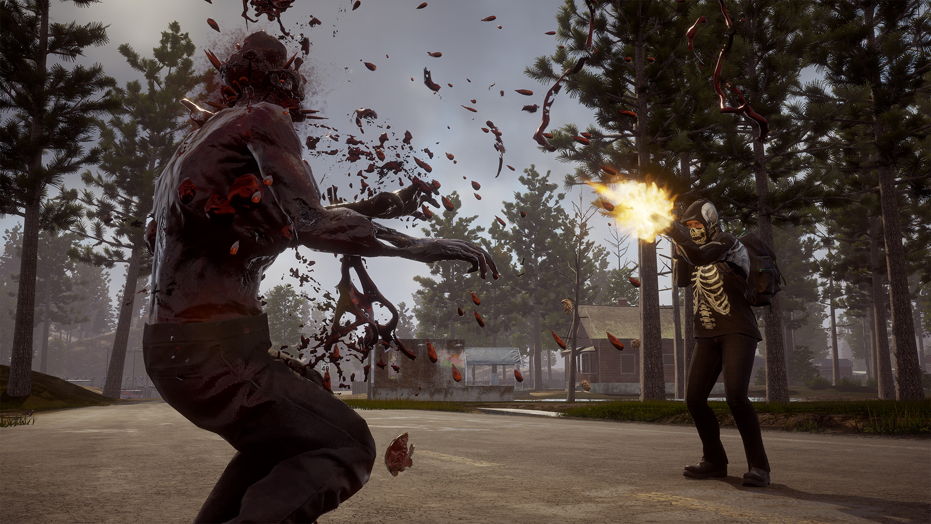 Скриншот из игры State of Decay 2 - 29