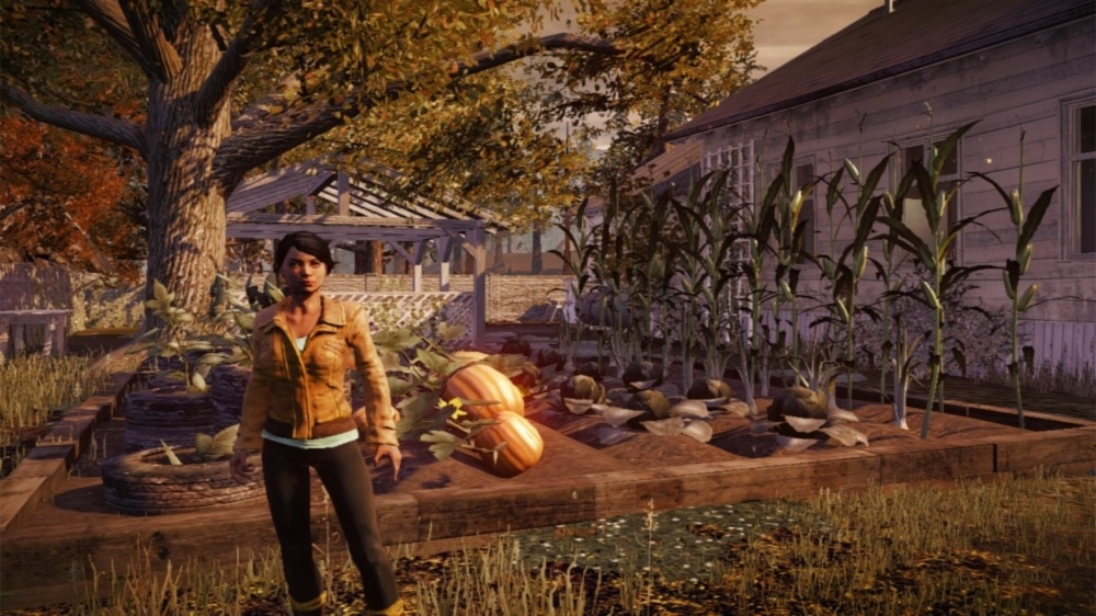 Скриншот из игры State of Decay - 86