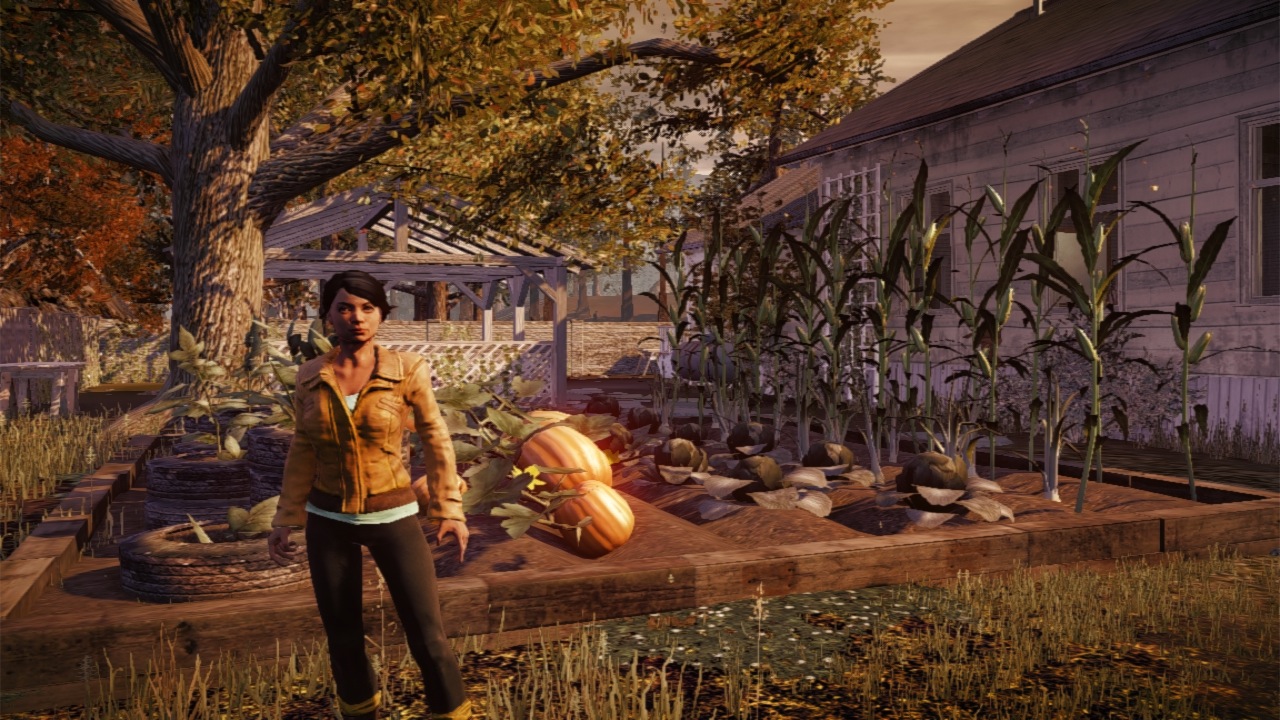 Скриншот из игры State of Decay - 74