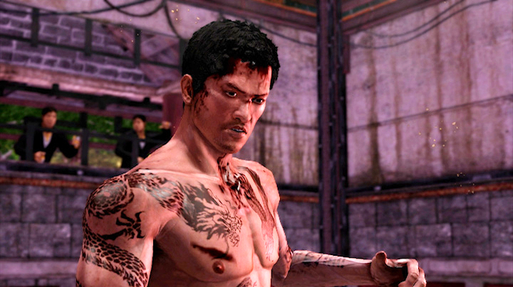 Скриншот из игры Sleeping Dogs: Zodiac Tournament - 4