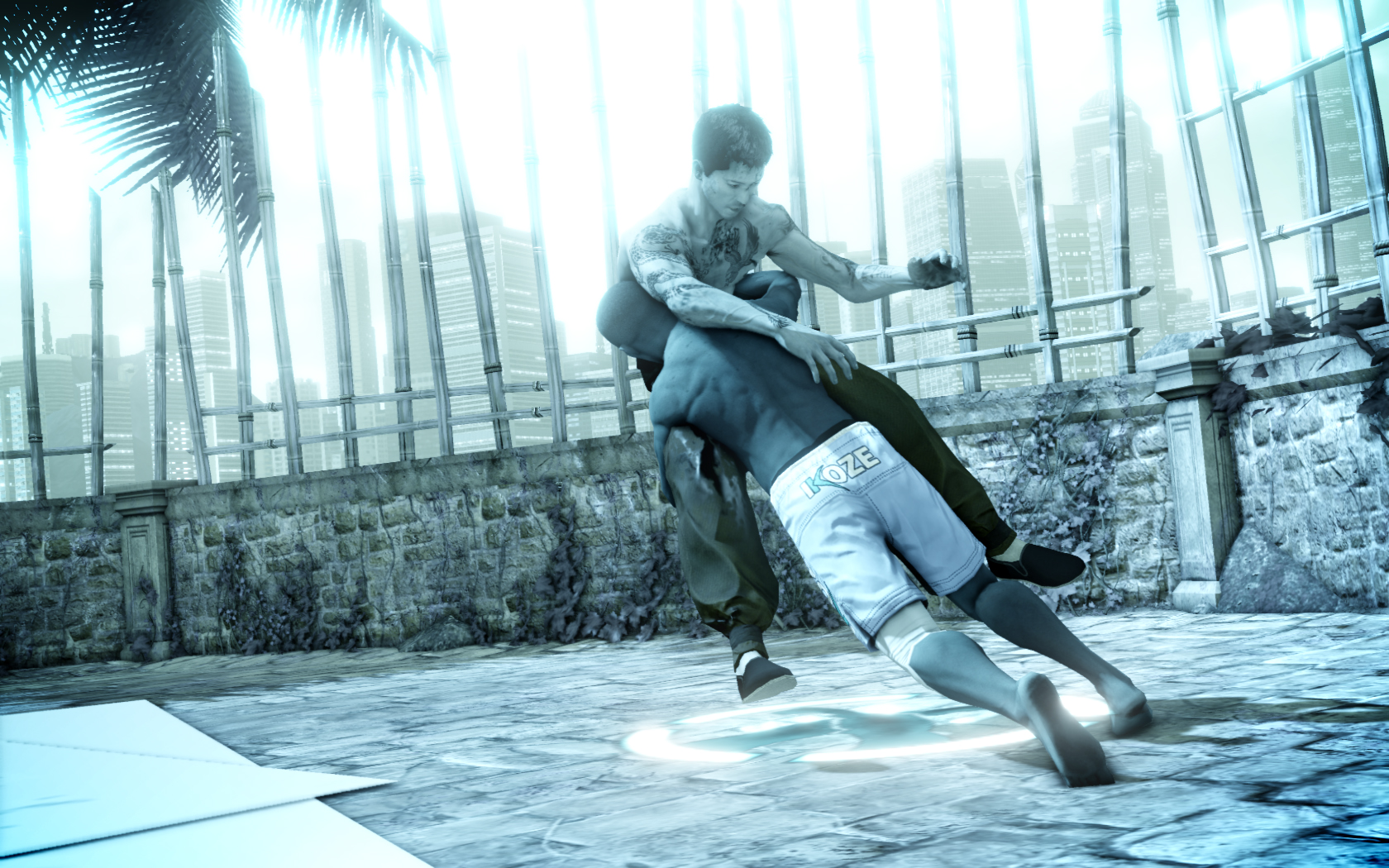 Скриншот из игры Sleeping Dogs: Zodiac Tournament - 7