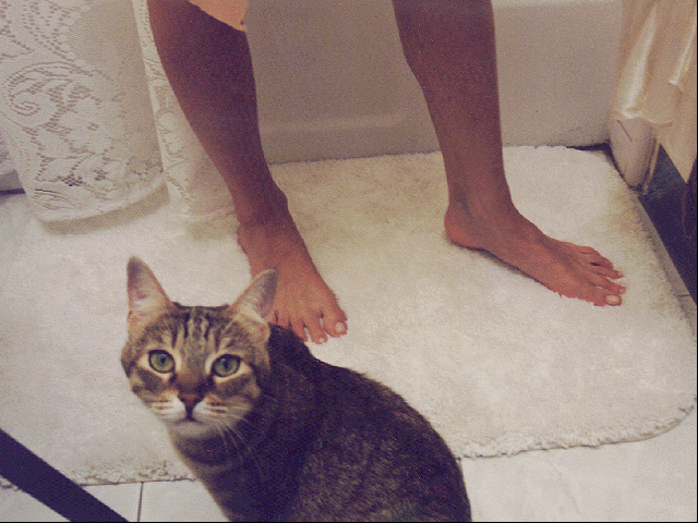 Скриншот из игры Plumbers Don't Wear Ties - 21