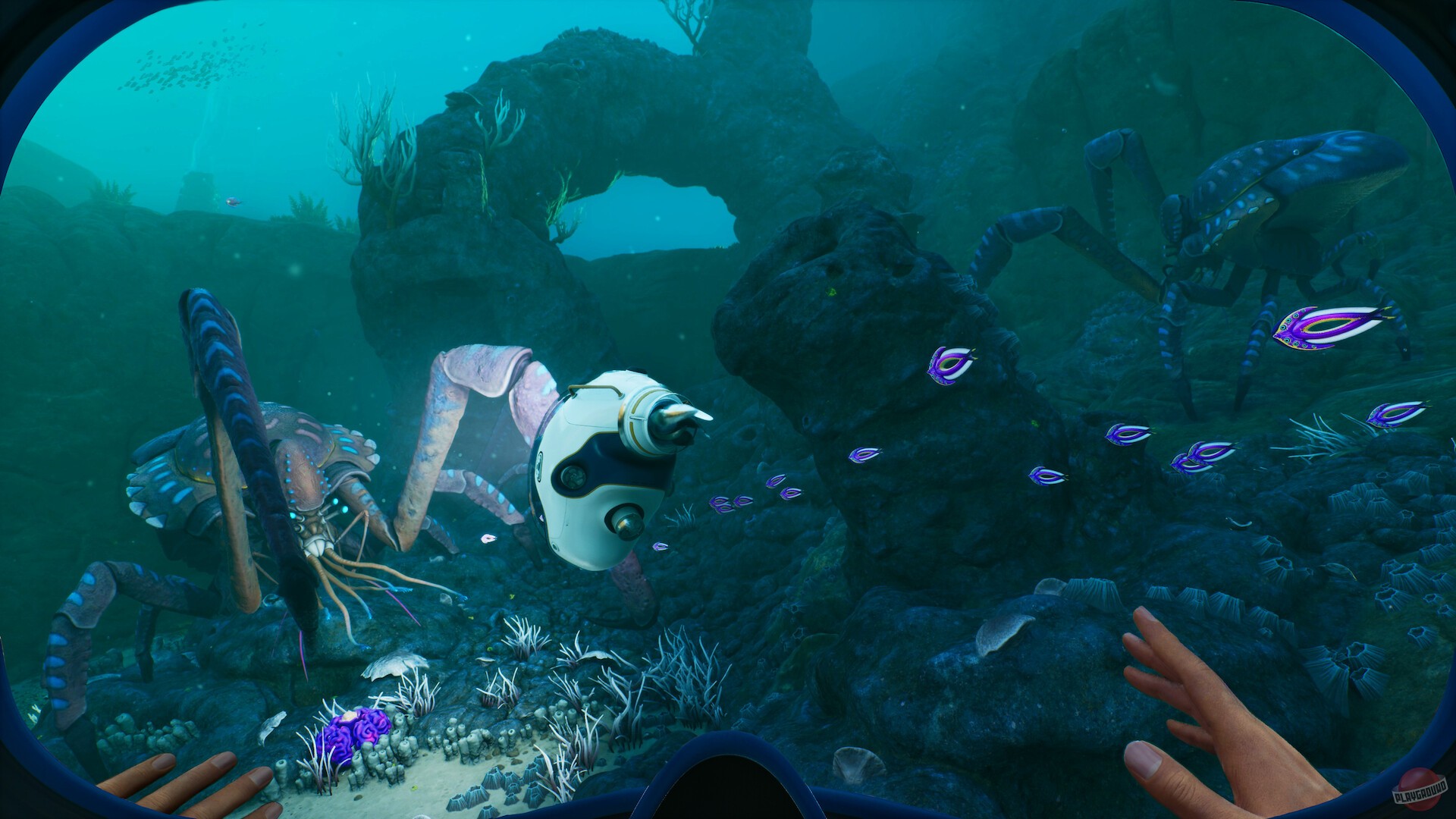 Скриншот из игры Subnautica 2 - 7