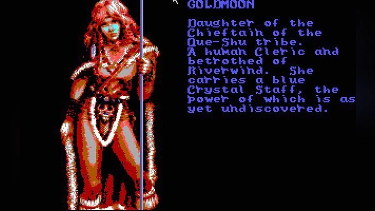 Скриншот из игры Heroes of the Lance - 7