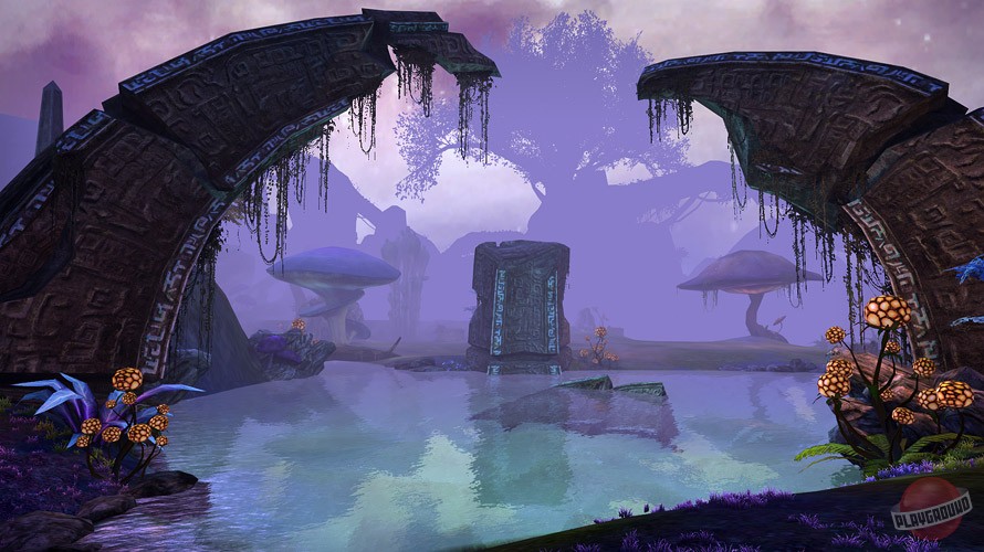 Скриншот из игры Reborn - 2