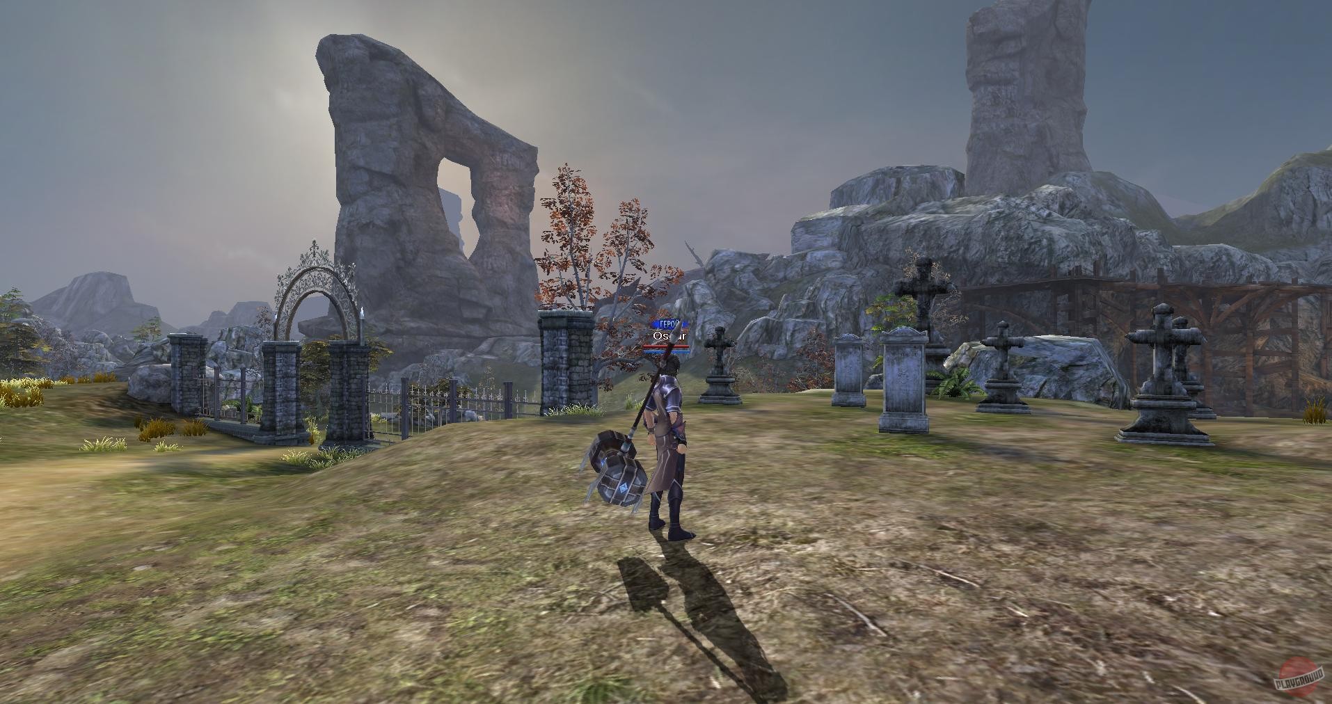 Скриншот из игры Reborn - 18