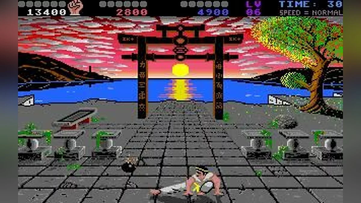 Скриншот из игры International Karate - 6