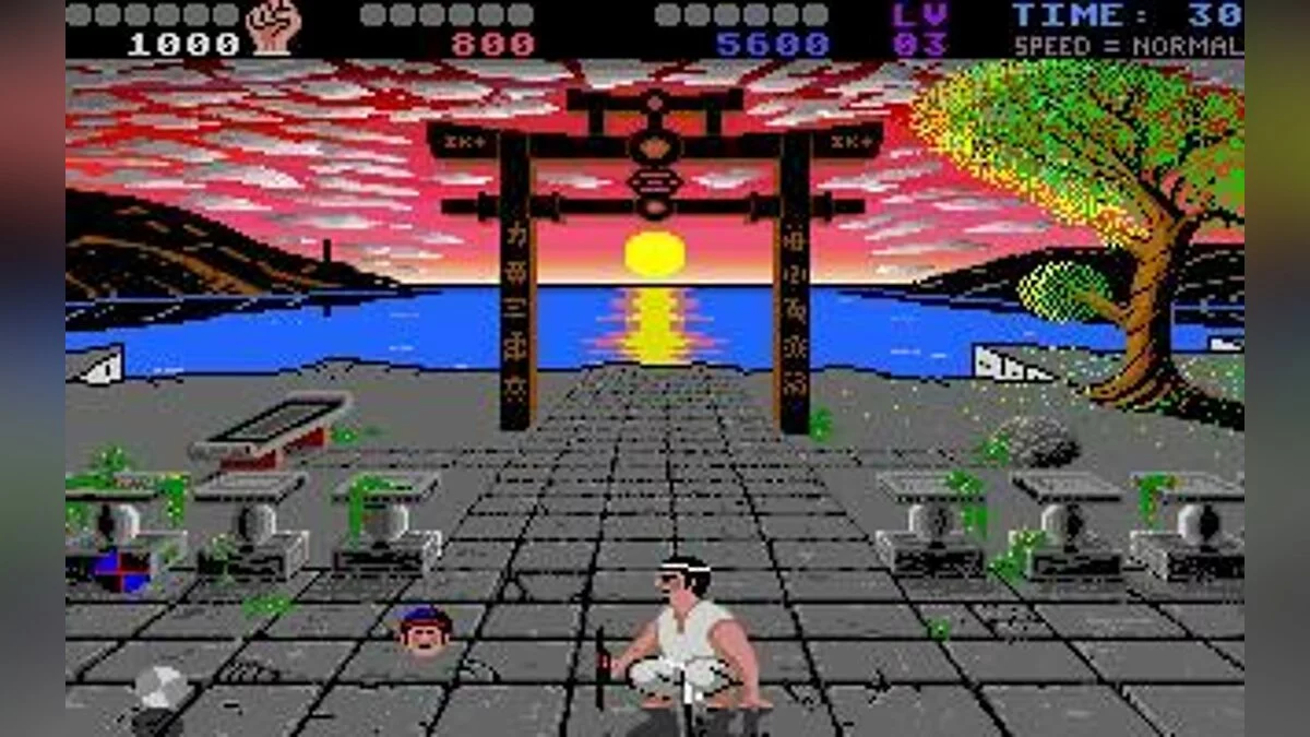 Скриншот из игры International Karate - 10