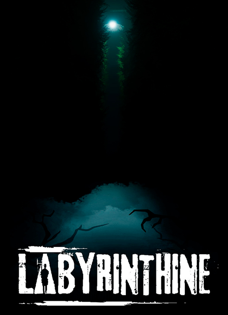 Обложка игры Labyrinthine