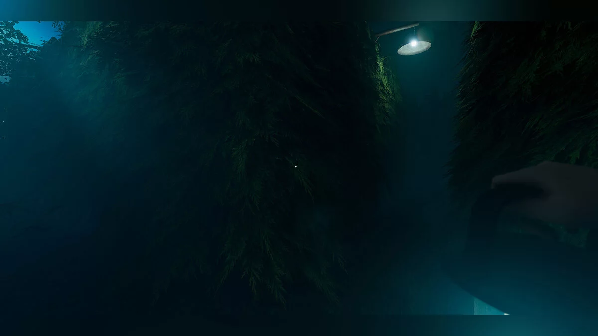 Скриншот из игры Labyrinthine - 5