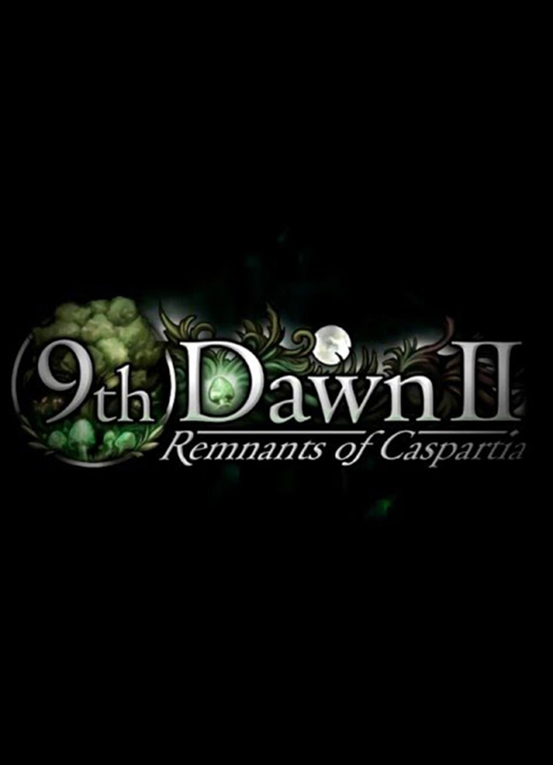 Обложка игры 9th Dawn 2