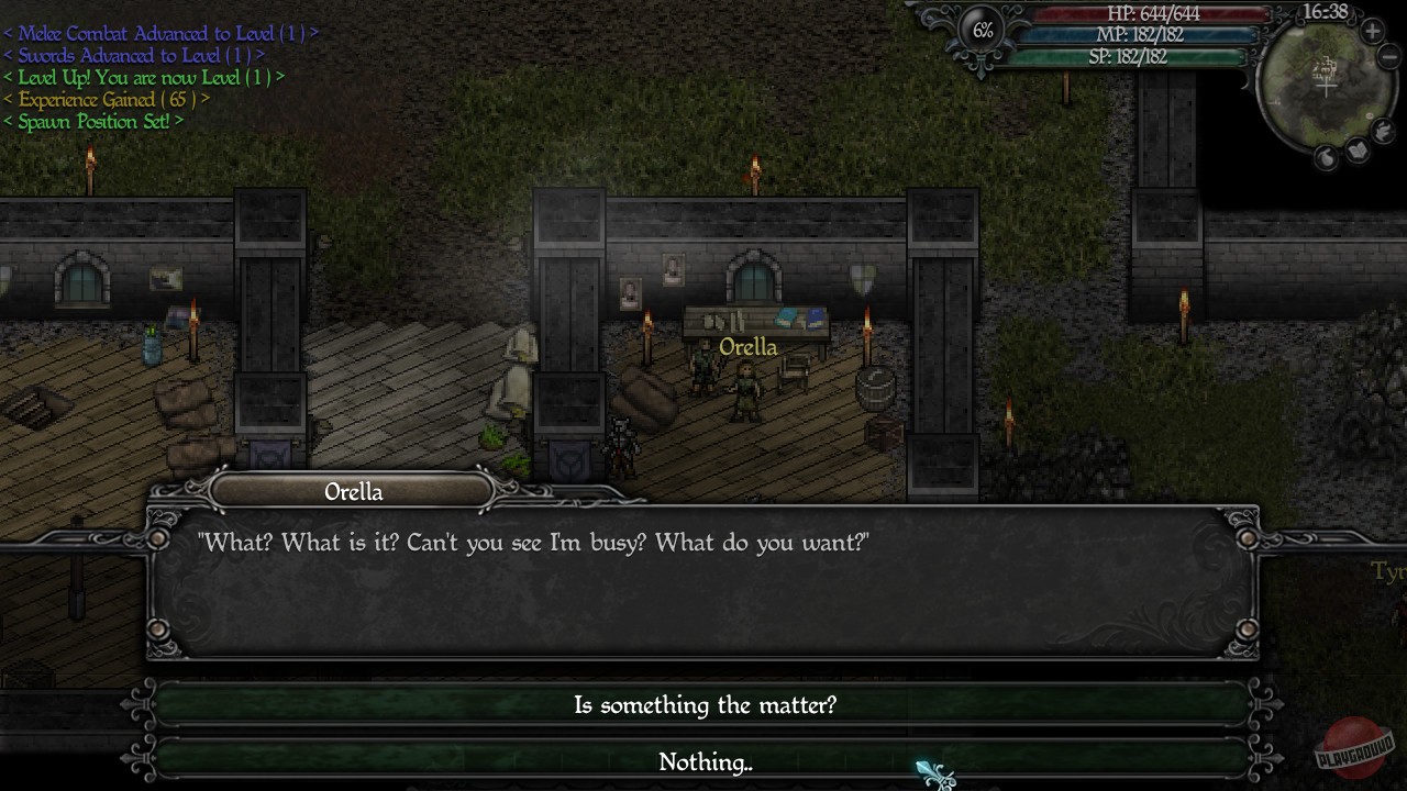 Скриншот из игры 9th Dawn 2 - 6