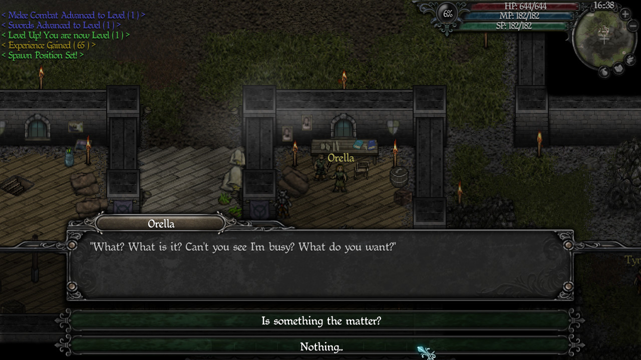 Скриншот из игры 9th Dawn II: Remnants of Caspartia - 9